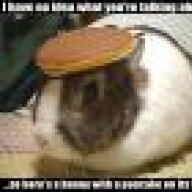LittleJo