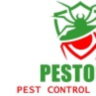 pestosol