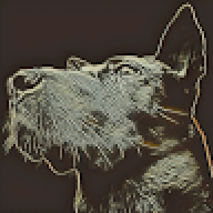 Icanbarelyseetheroad