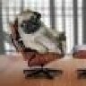 pugdog
