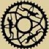 Greyhound Velo