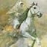 horsinabout
