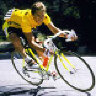sars1981
